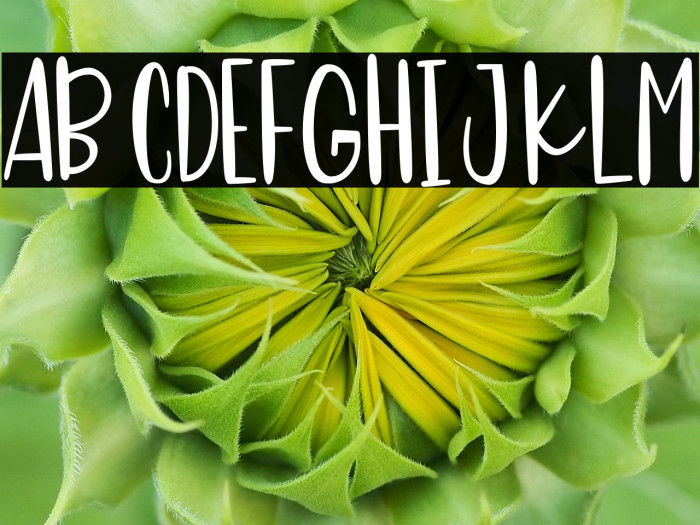 Sweet Panda Example 1