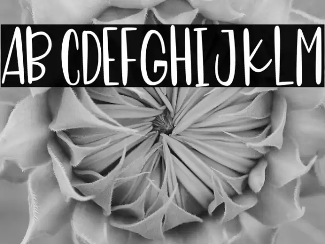 Sweet Panda Font examples