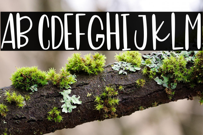 Sweet Panda Example 2