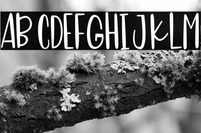 Sweet Panda Font examples