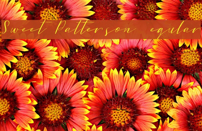 Sweet Patterson DEMO Regular Font examples