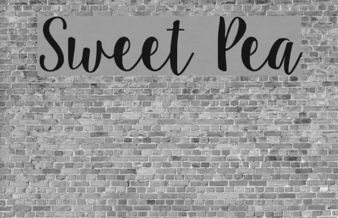 Sweet Pea Font examples
