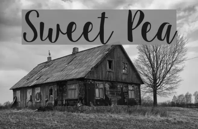 Sweet Pea Font examples