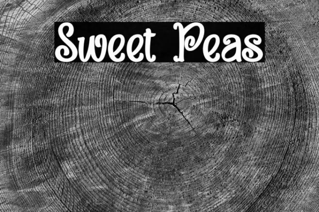 Sweet Peas Font examples