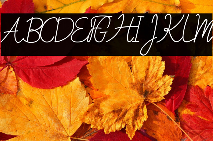 Sweet Petunia Example 1