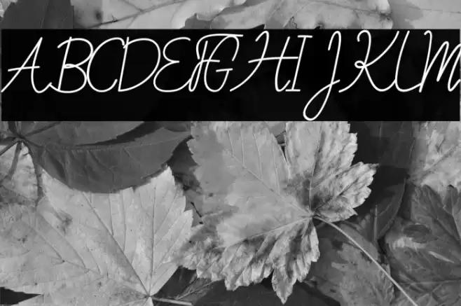 Sweet Petunia Font examples