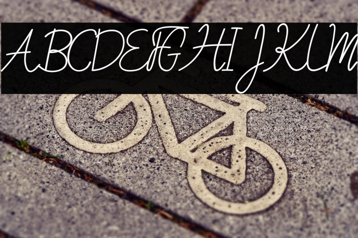 Sweet Petunia Example 2