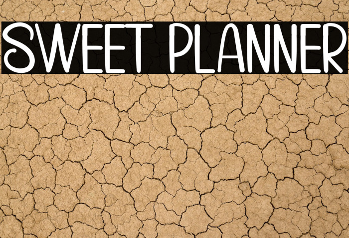 Sweet Planner Example 3