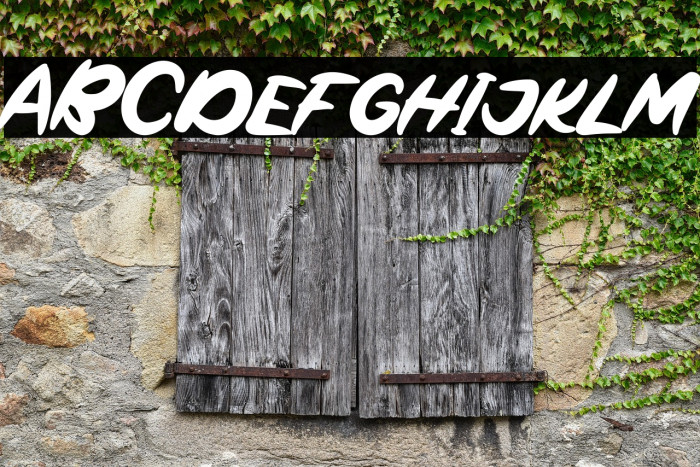 Sweet Puppy Example 3