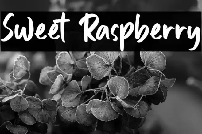 Sweet Raspberry Font examples