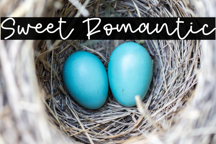 Sweet Romantic Example 1