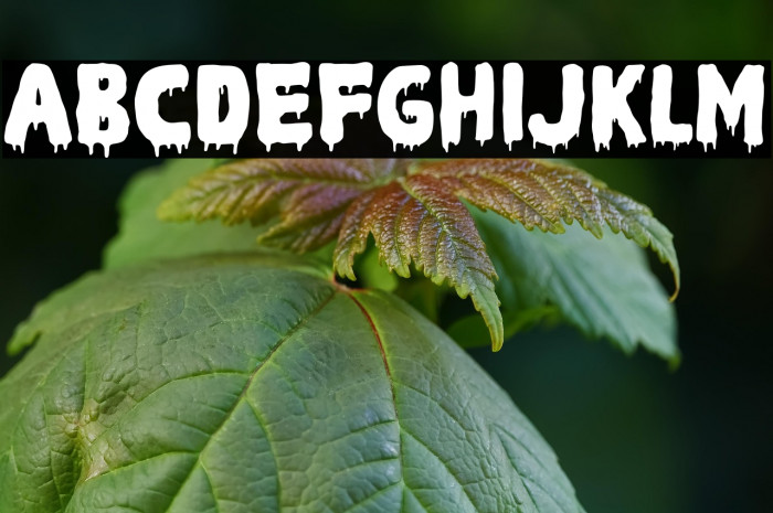 Sweet Scream Example 3