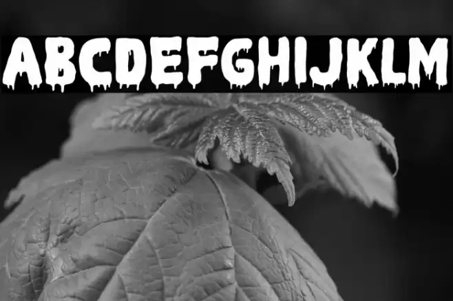 Sweet Scream Font examples