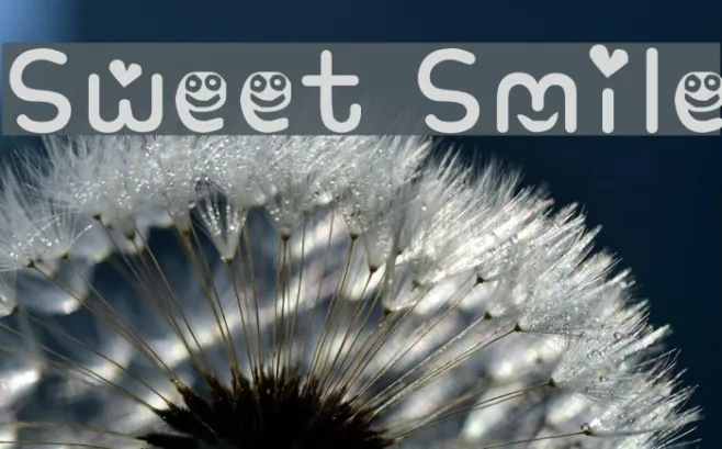 Sweet Smile Example 1