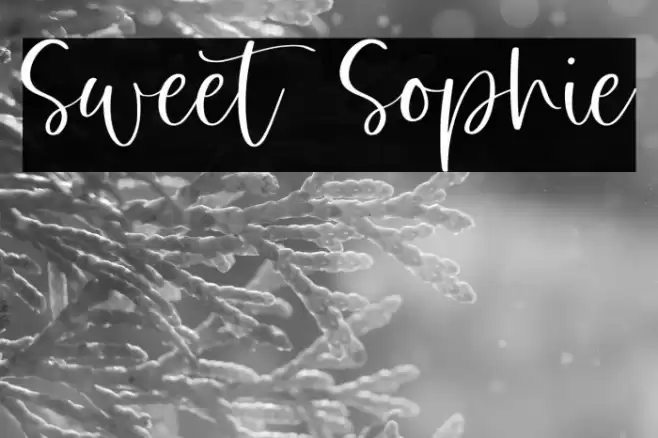 Sweet Sophie Font examples