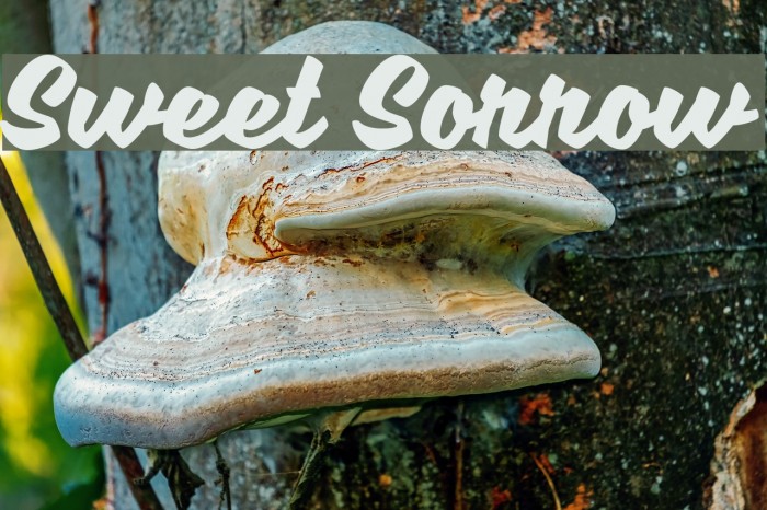 sweet-sorrow-font-ffonts