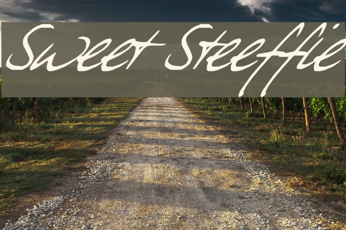 Sweet Steeffie Font examples