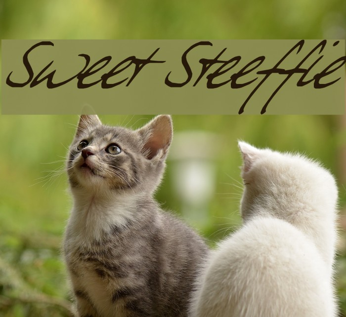 Sweet Steeffie Font examples
