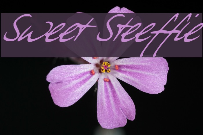 Sweet Steeffie Font examples