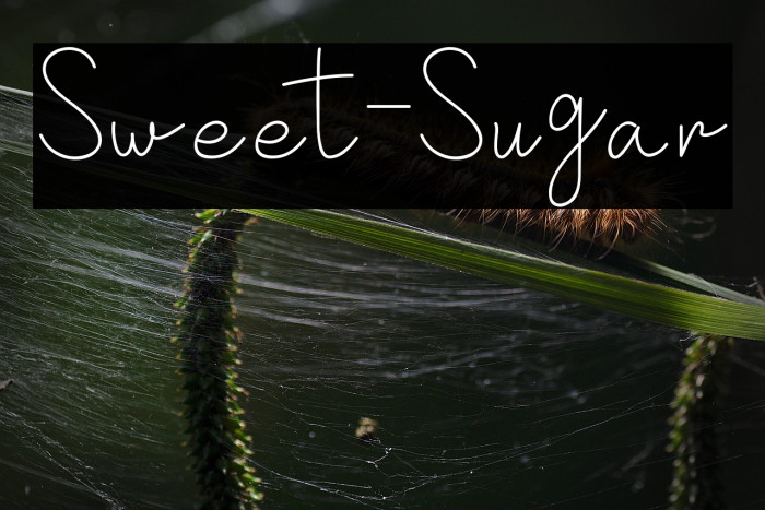 Sweet-Sugar Example 1