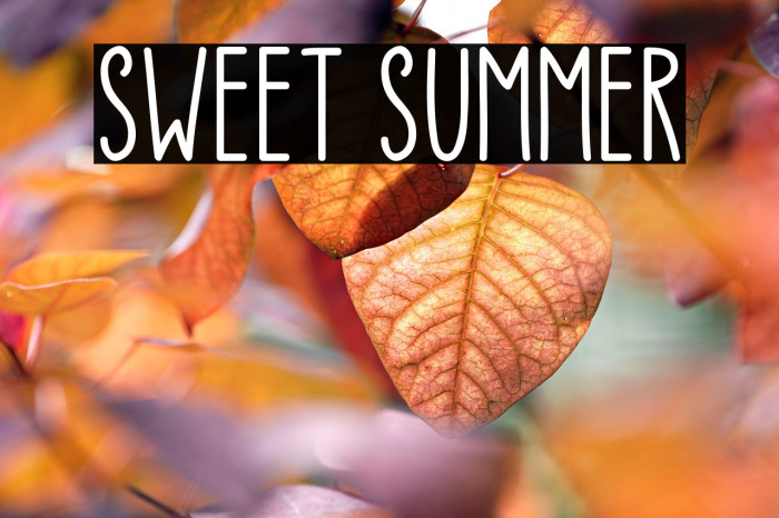 Sweet Summer Example 3