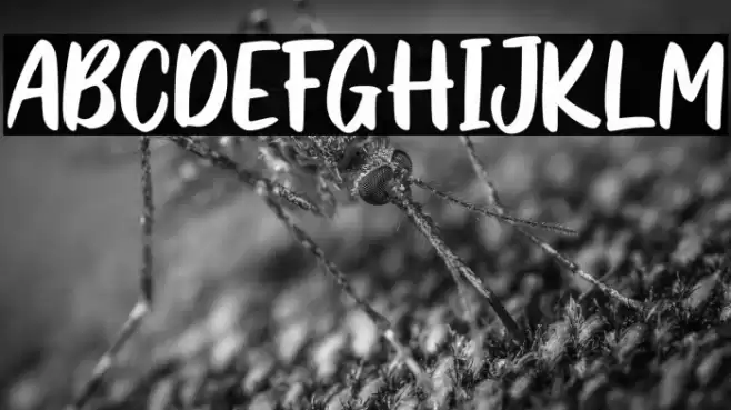 Sweet Talk フォント examples