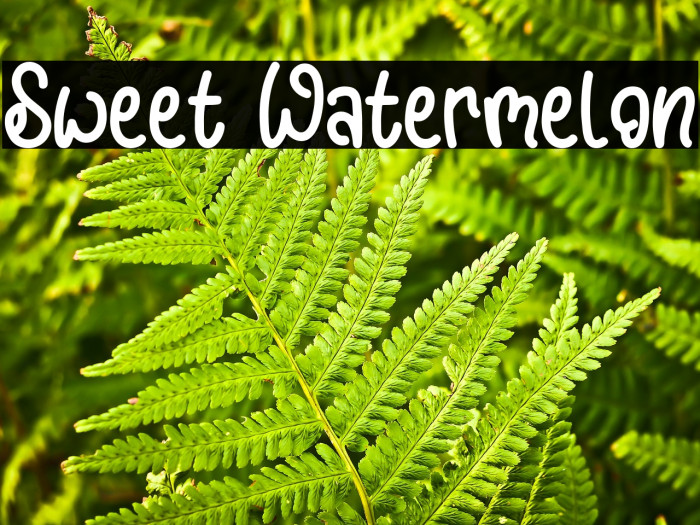 Sweet Watermelon Example 1