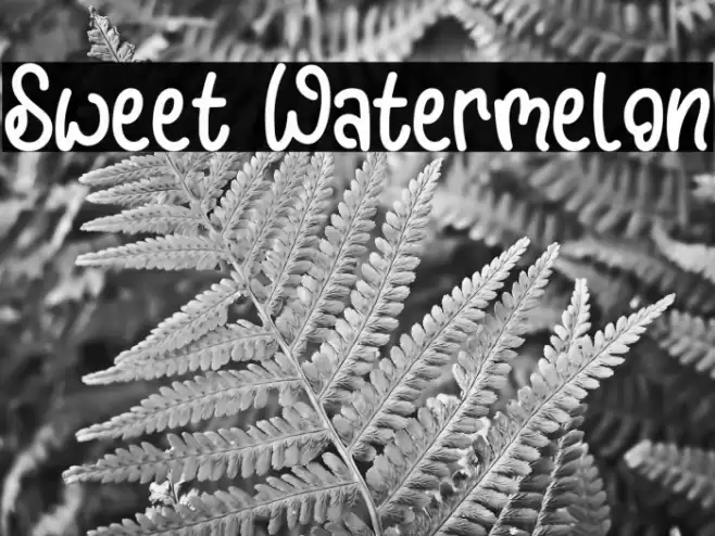 Sweet Watermelon Font examples