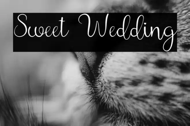 Sweet Wedding Font examples