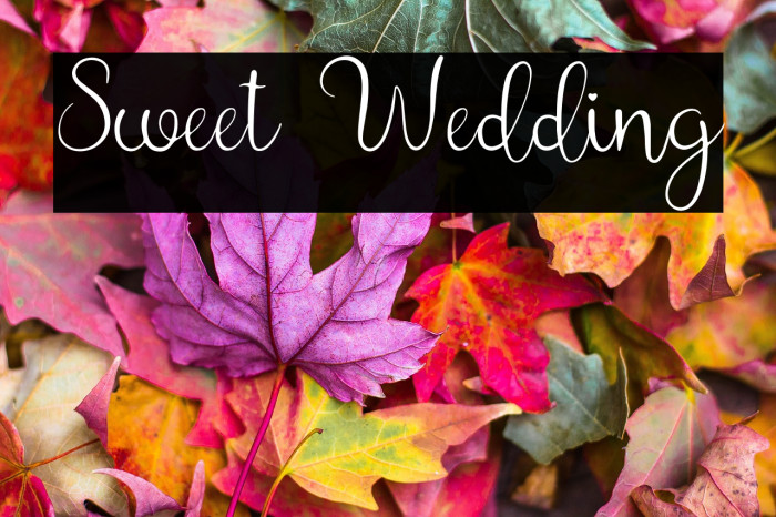 Sweet Wedding Example 3