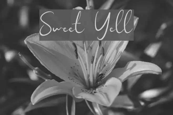 Sweet Yell Font examples