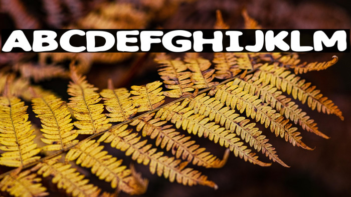 Sweet as candy Example 1