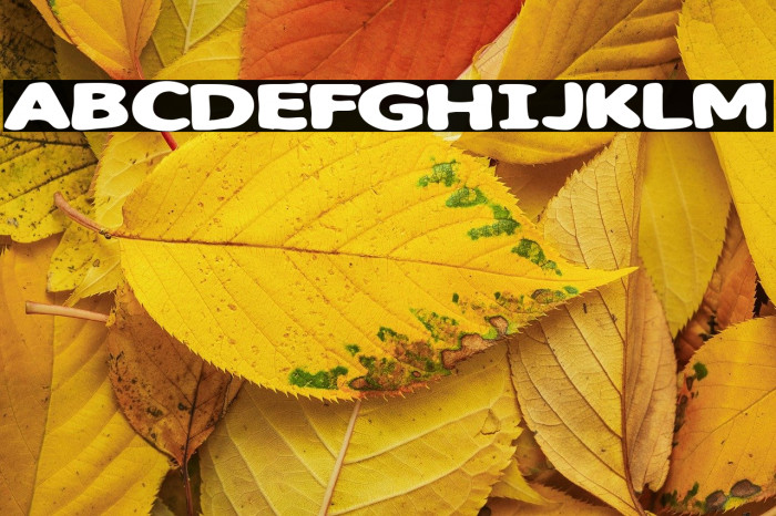 Sweet as candy Example 3