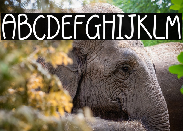 Sweet lemonade Regular Example 3