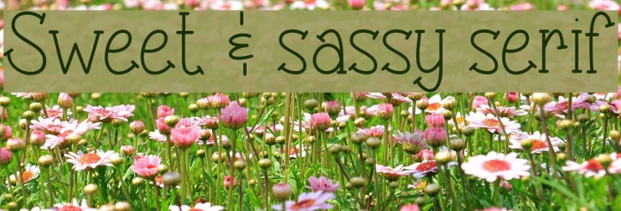 Sweet & sassy serif Font examples