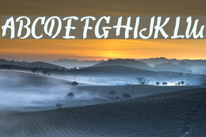 SweetAbout Font examples