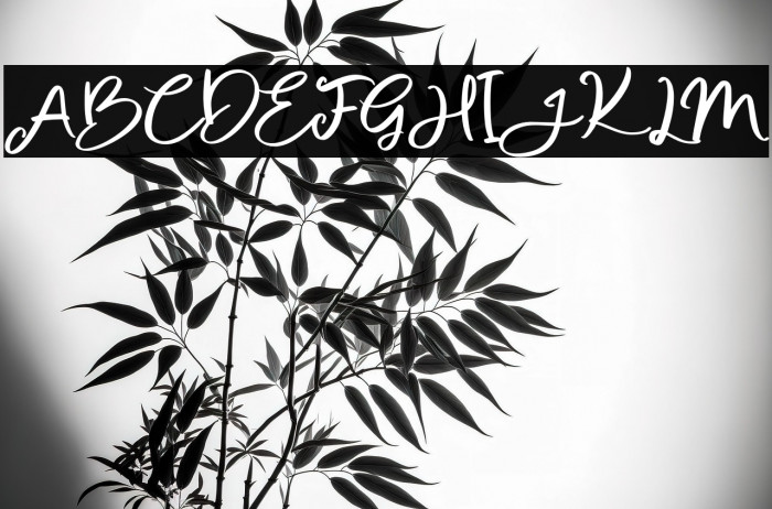 SweetButtermilkFree-Script Example 1