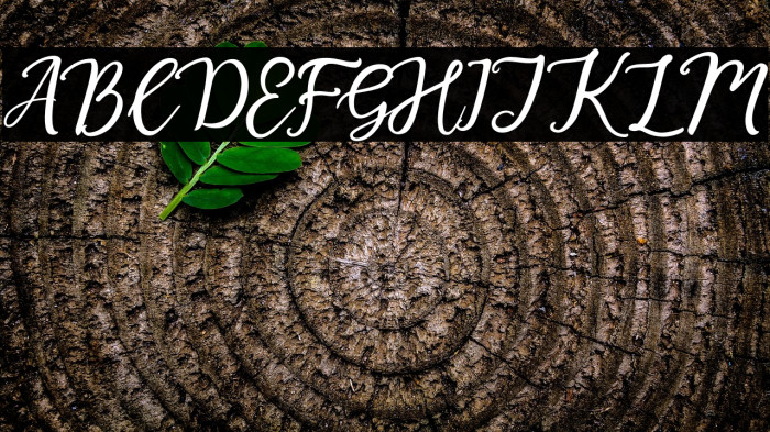 SweetCandyPinkScriptDemo Example 1