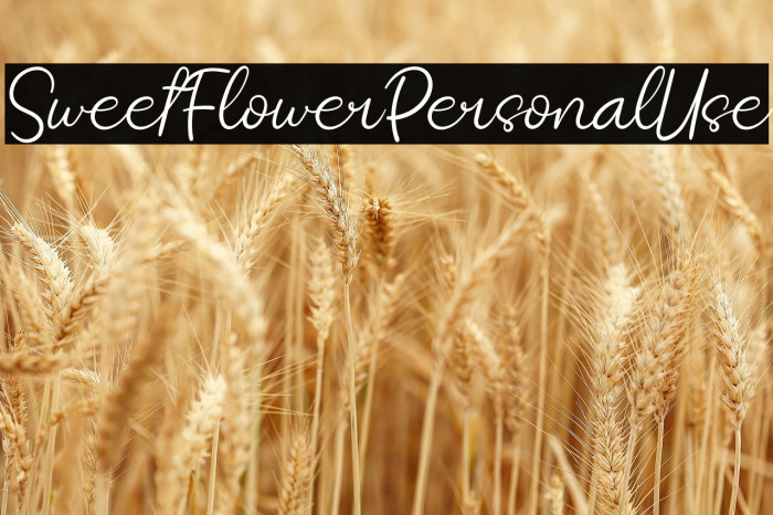 SweetFlowerPersonalUse Example 1