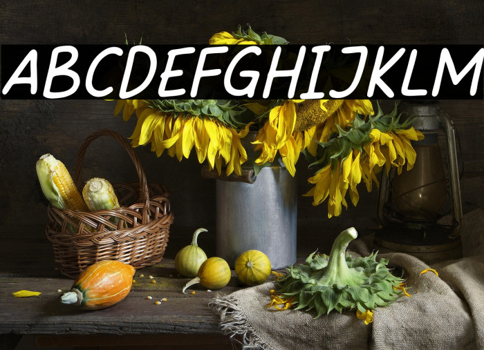 SweetHansan-Italic Example 2