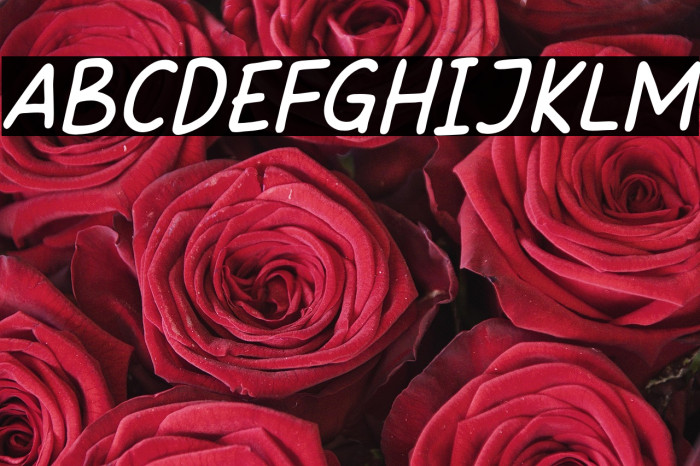 SweetHansan-Italic Example 3