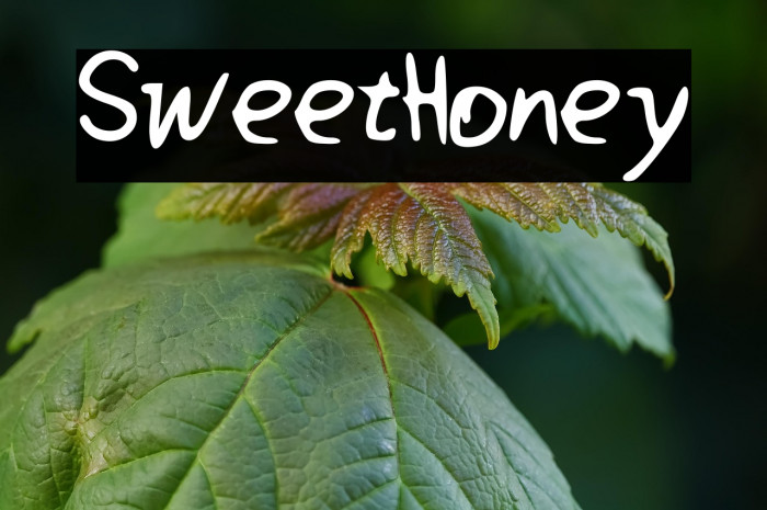 SweetHoney Schriftart examples