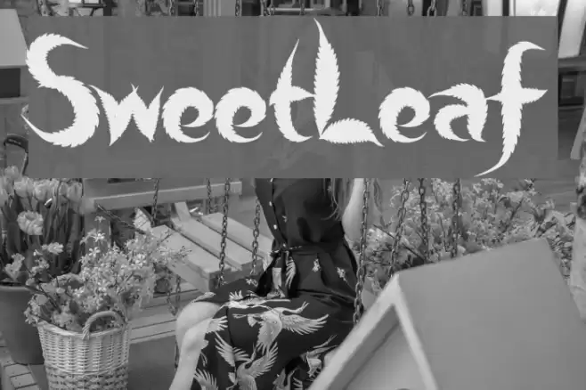 SweetLeaf Fonte examples