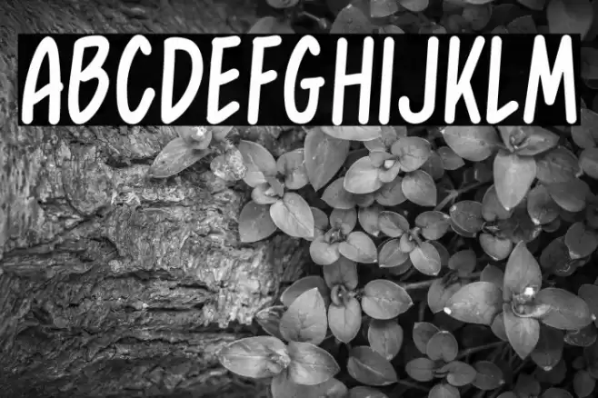 SweetMelodyDemo-Bold Font examples