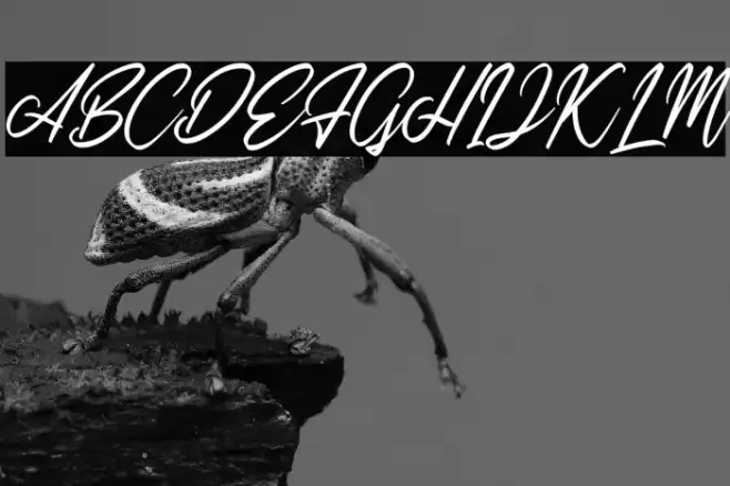 SweetMorningDEMO-Regular Font examples