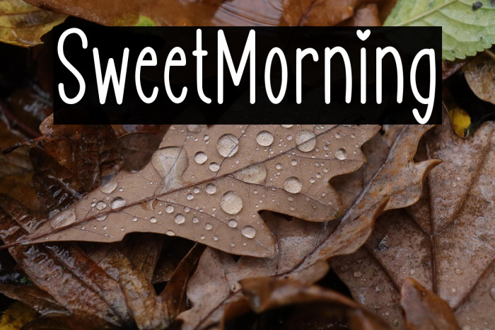 SweetMorning Example 1