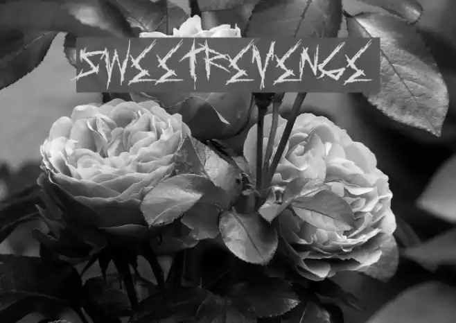 SweetRevenge Font examples