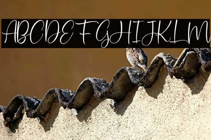 SweetServeFREE Example 2