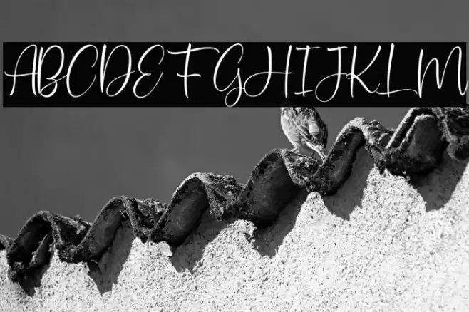 SweetServeFREE Font examples