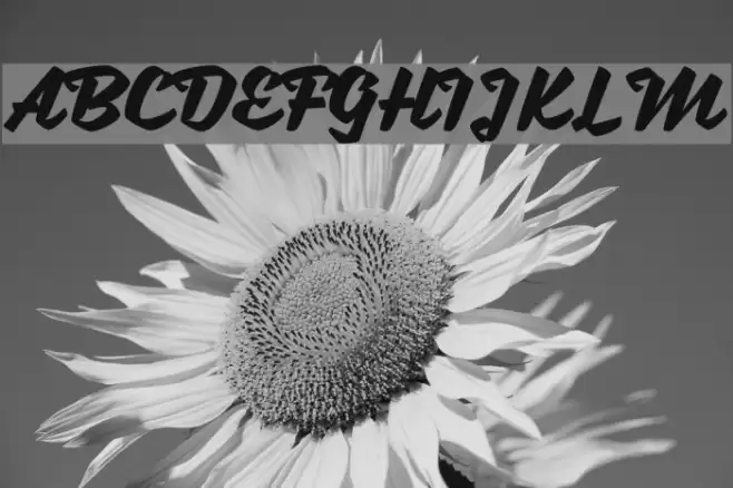 SweetSorrow Font examples